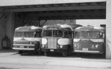 Cardinal coaches at Park Hotel Red Deer 1949 - Glenbow Archives